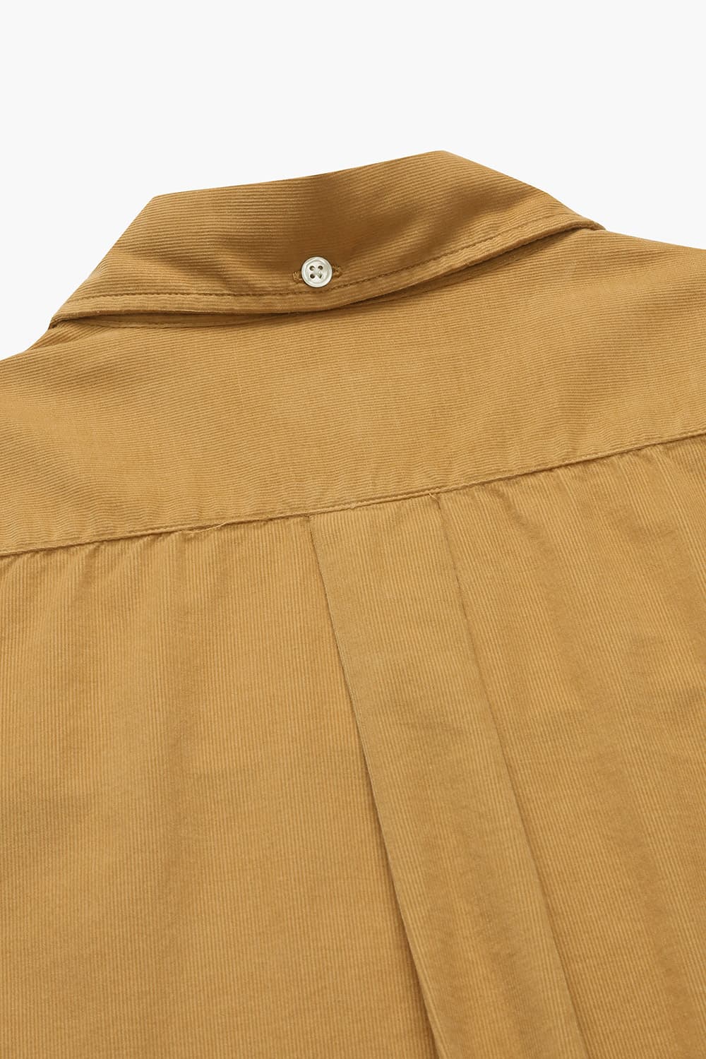 코튼 100 PITT PAT 셔츠 오렌지 QE4FMHTSH110Q40