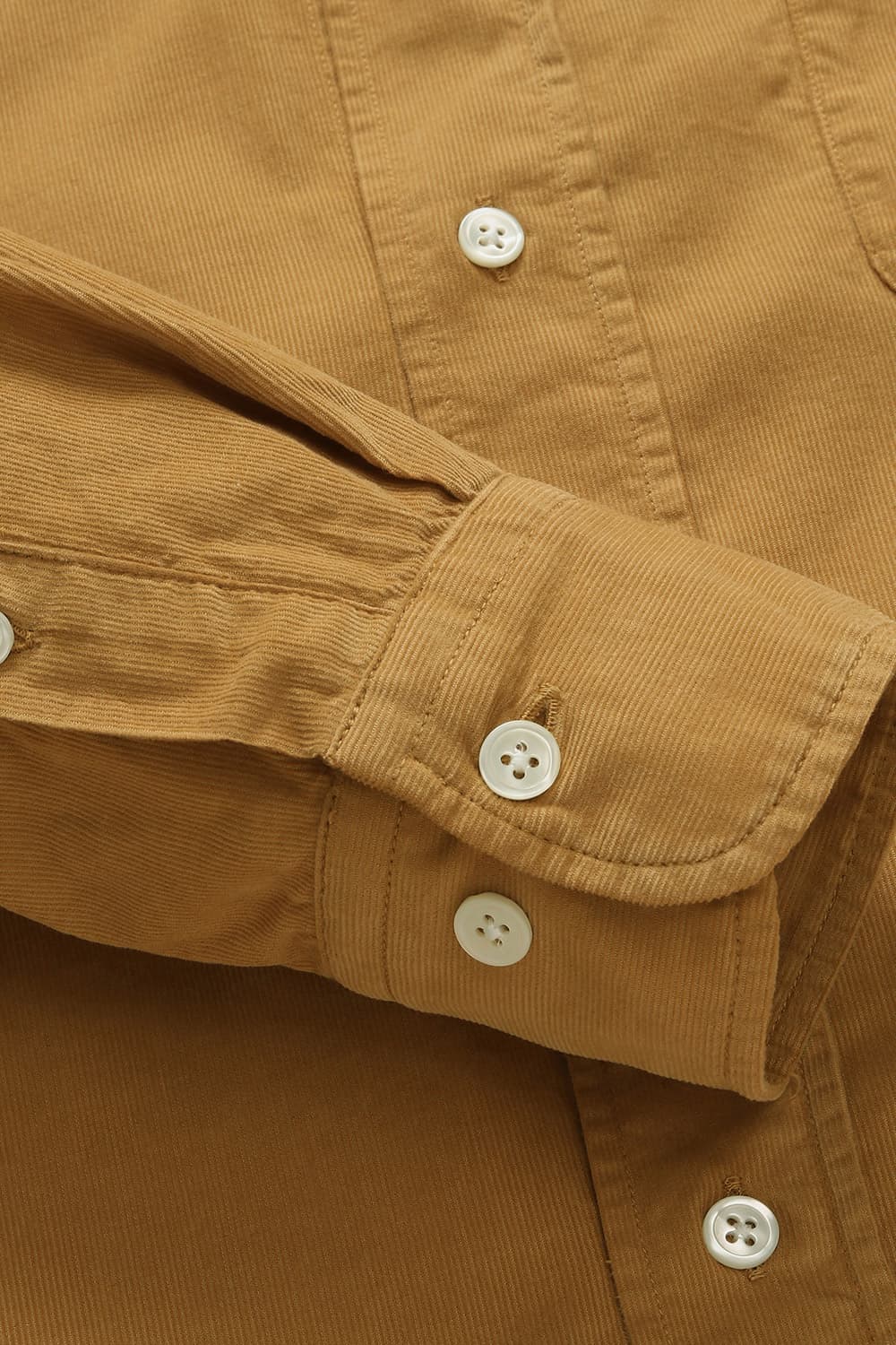 코튼 100 PITT PAT 셔츠 오렌지 QE4FMHTSH110Q40