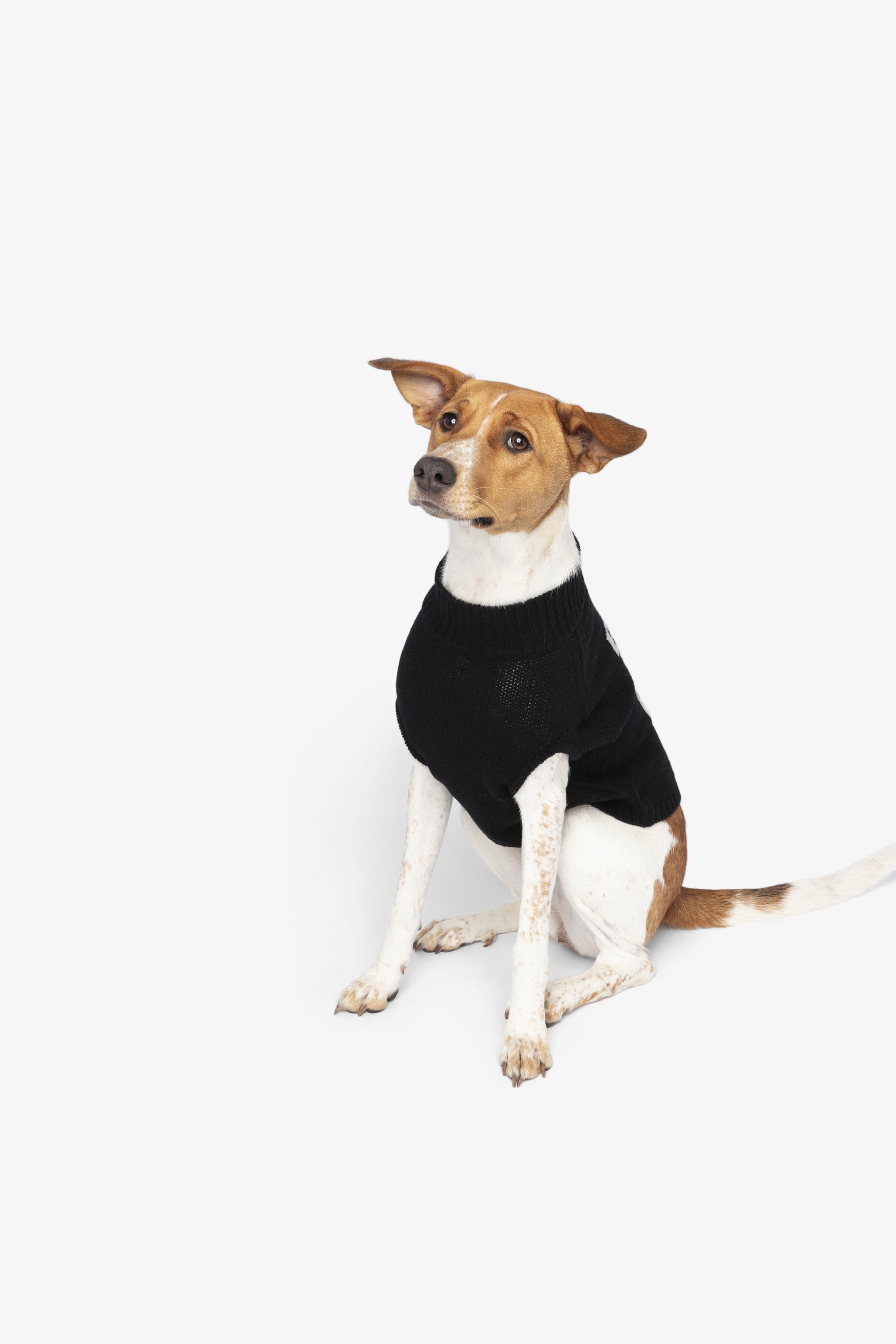 Zadog Wool Sweater