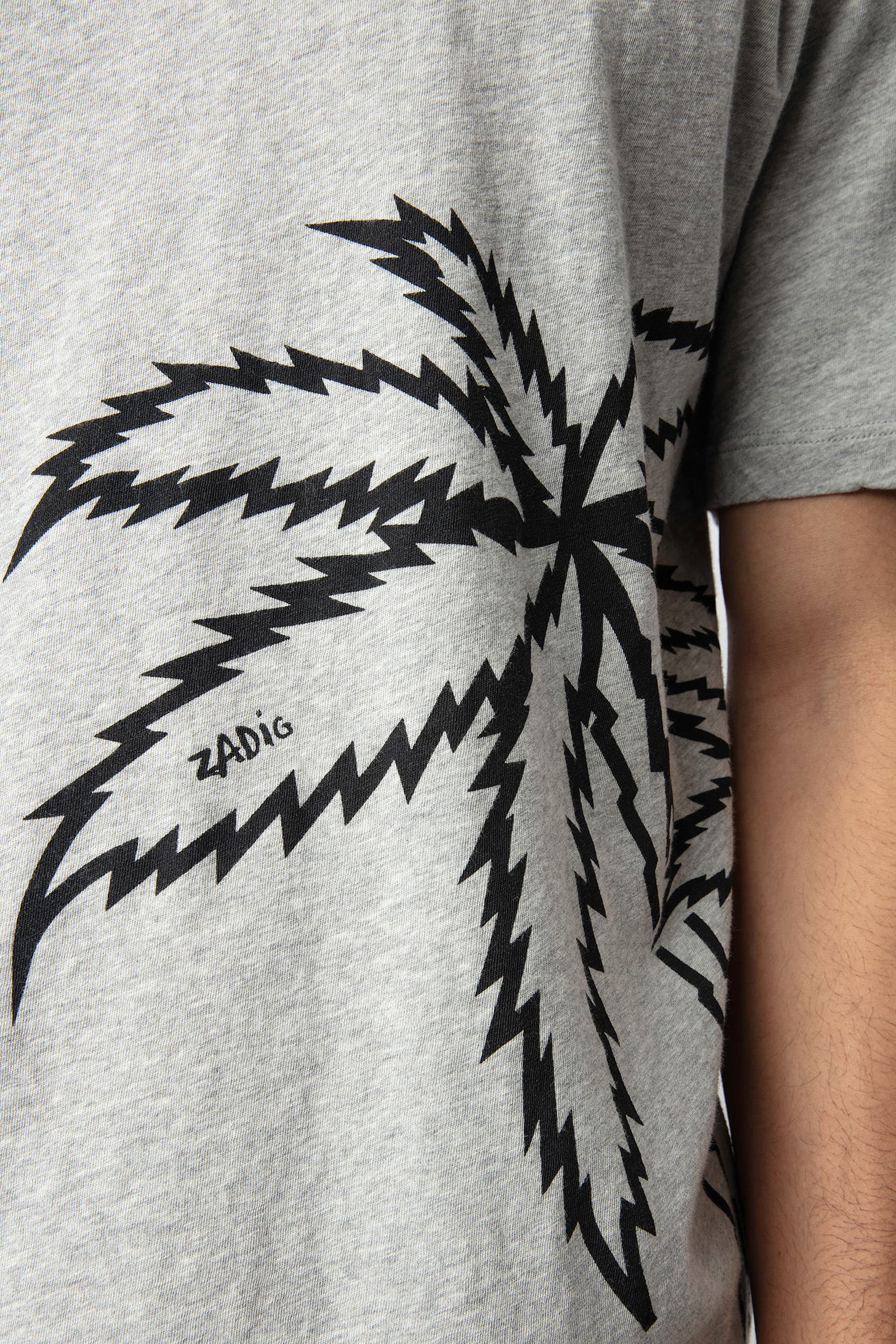 Tommy Big Palm T-shirt