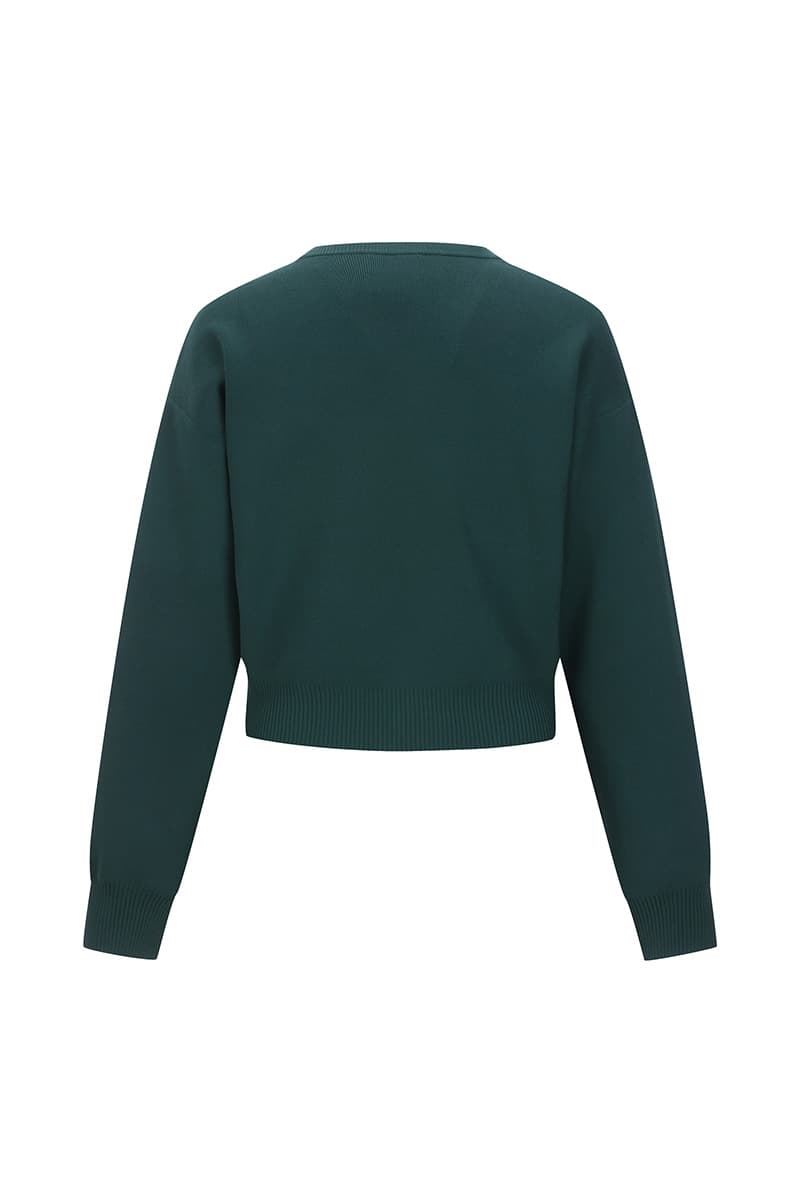 숄더버튼 크롭 니트 CE3SFYSTP029C77