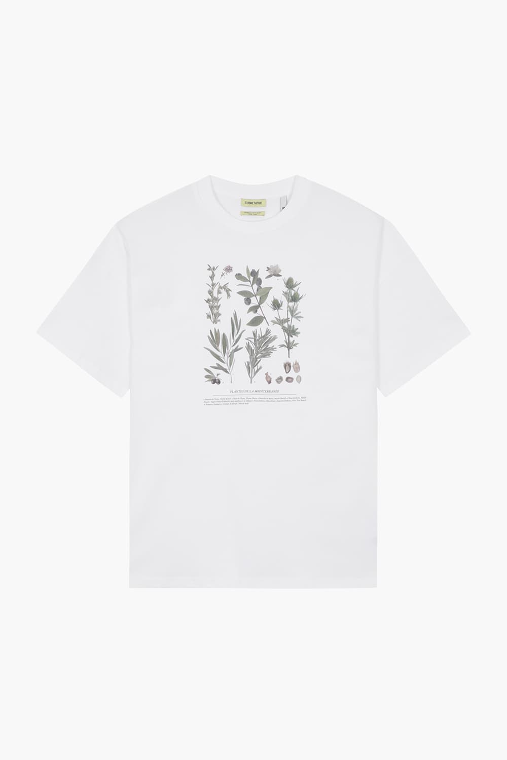 PRINTED T-SHIRT 코튼 스퀘어 프린트 반소매 티셔츠 TS29HJP