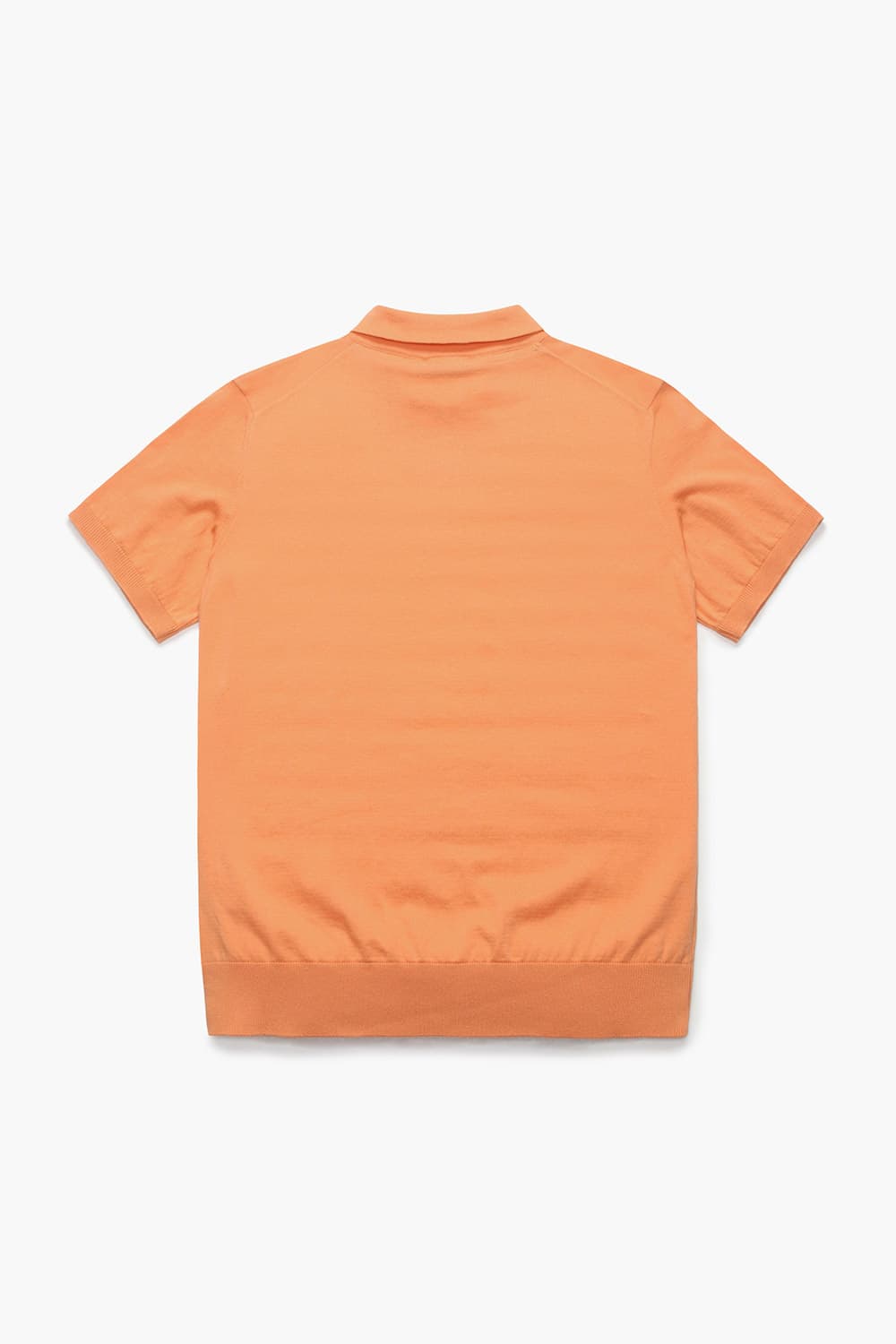 코튼 폴로 반소매 니트 BR621P353619