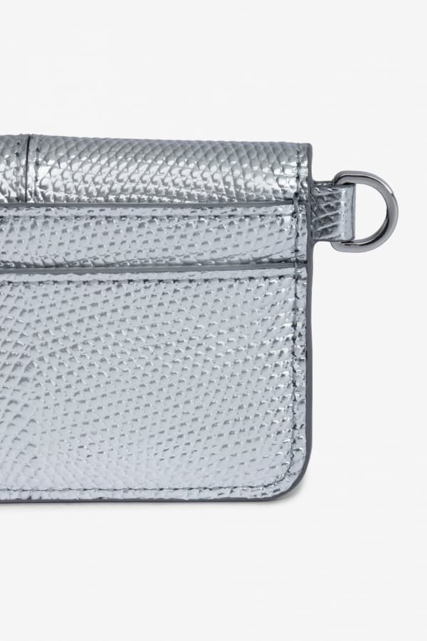 Borderline Pass Metallic Card Holder